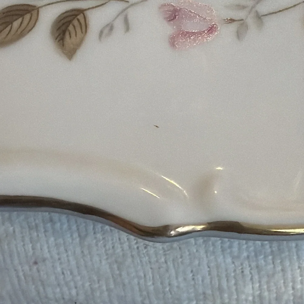 Vtg Bristol Spring Garden 12
